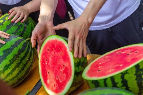 娱乐吃瓜酱喂西瓜 第2张 娱乐吃瓜酱喂西瓜 第2张